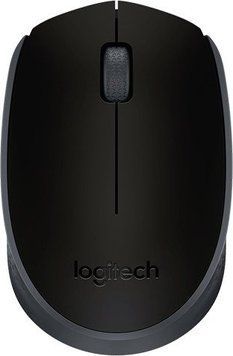 Миша бездротова Logitech M171 Wireless 2.4GHz Black/Grey M171BGWI фото