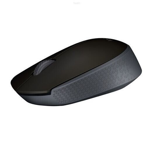 Миша бездротова Logitech M171 Wireless 2.4GHz Black/Grey M171BGWI фото