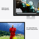 МОНІТОР STUDIO DISPLAY XDR STD/VESA/1M-RUS YSAP867     фото 6