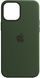 Чохол Silicone Case для iPhone 12/12 Pro Cyprus Green