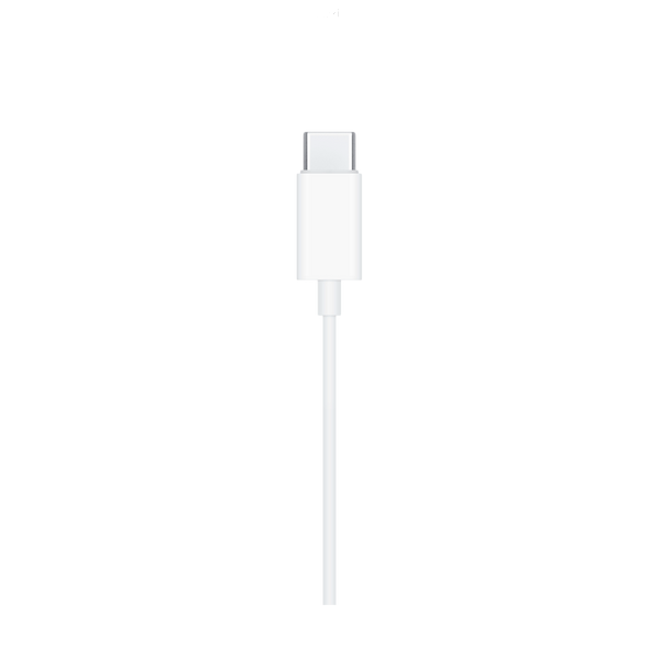 НАВУШНИКИ EARPODS (USB-C)-ZML YT000000019 фото