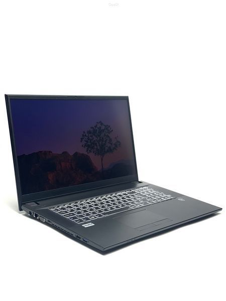 Ноутбук Juno Notebook NJ50CU IPS Intel Core i7 (i7-10510U) 16 Гб 1 Тб SSD Клас A- (NTB0226369) Б/В