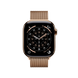ГОДИННИК APPLE WATCH 11 42 GOLD TI GD ML CEL-RKZ