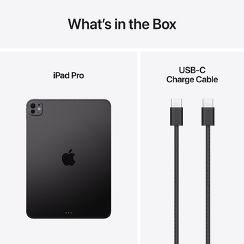 ПЛАНШЕТ IPAD PRO 11 WF CL 2TB SBNT-ISP